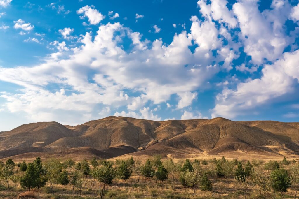 A scenic view of rolling brown hills under a bright blue sky with scattered clouds and a foreground of scattered trees.
