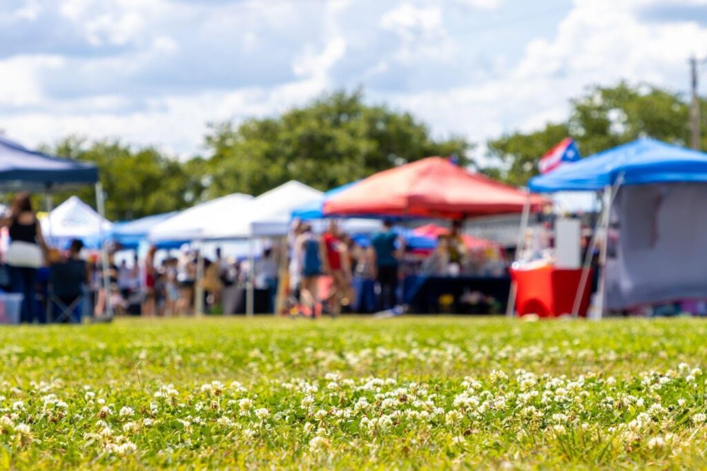 A vibrant outdoor market scene featuring tents and people browsing in a grassy field