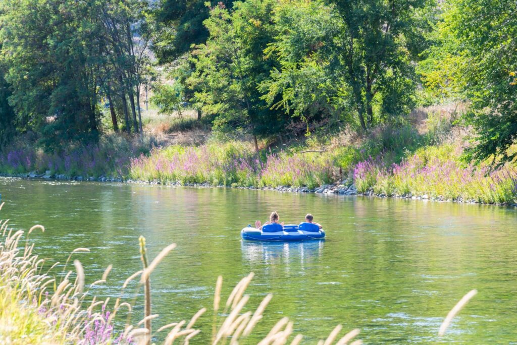 Two people float down a calm river in a blue inflatable raft, surrounded by lush green trees and purple wildflowers.