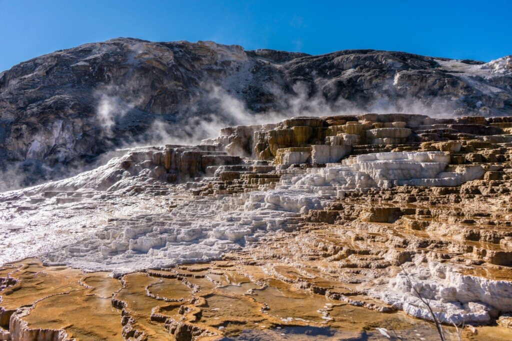 The colorful mineral terraces of Mammoth Hot Springs in Yellowstone National Park highlight vibrant geothermal activity